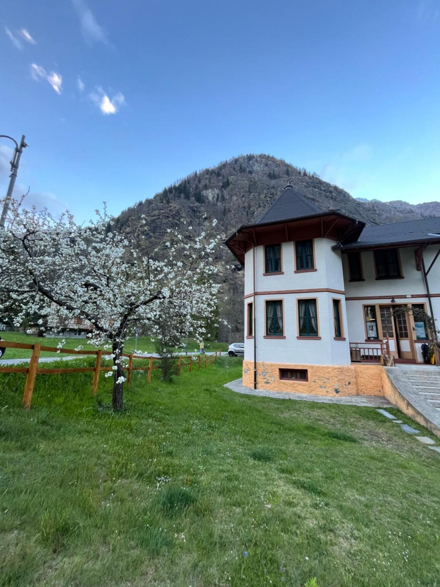 L'Aria Di Casa Bed & Breakfast Alagna Valsesia Eksteriør bilde