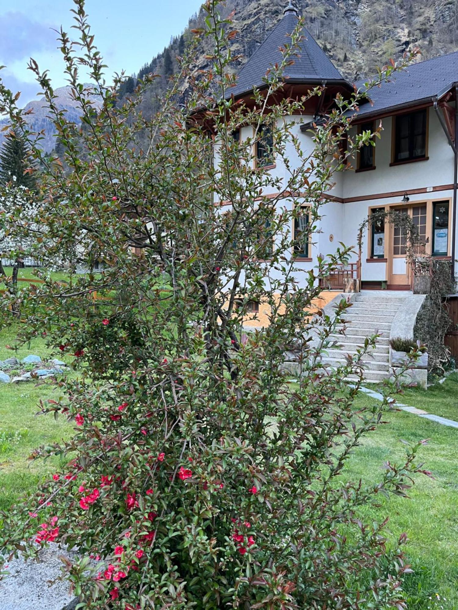 L'Aria Di Casa Bed & Breakfast Alagna Valsesia Eksteriør bilde