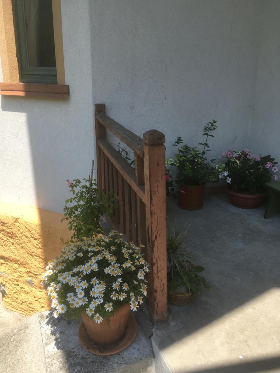 L'Aria Di Casa Bed & Breakfast Alagna Valsesia Eksteriør bilde
